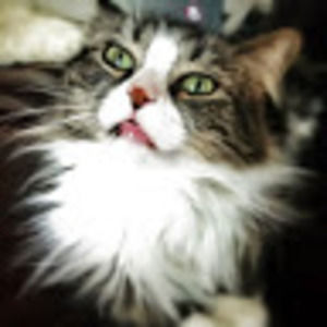 Meet your Posher, Lindsy